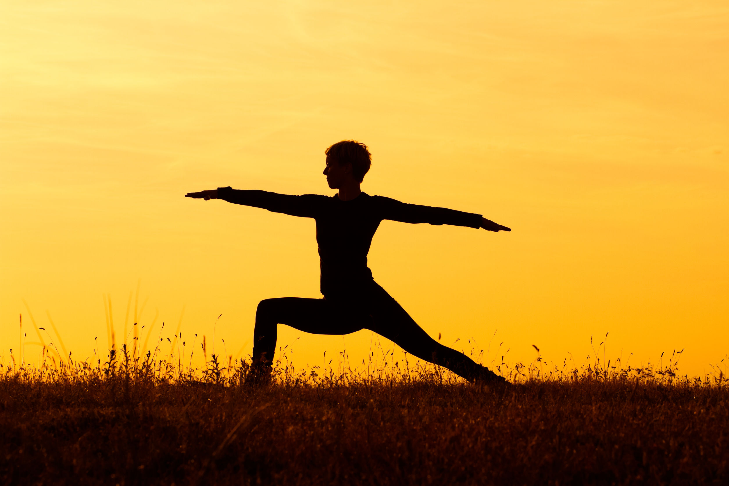 warrior Hatha Yoga